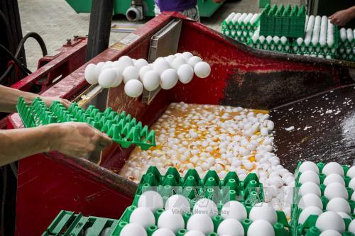 Tập đoàn hóa chất BASF hạn chế sử dụng hóa chất fipronil 